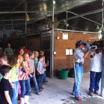 Dentist time for the horses!