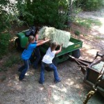 Girls getting hay before race for horses! Teamwork!