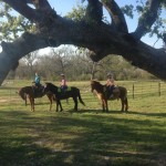 Girls posing under a favorite tree at the Cowboy church.